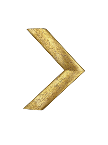 Frame 2021G